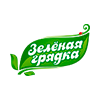 Зеленая грядка